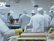 Bà Rịa - Vũng Tàu sẽ cho một số ngành nghề hoạt động trở lại từ ngày 15/9.
