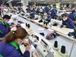 Đơn hàng của TNG tăng mạnh khi đại dịch Covid-19 bùng phát tại các tỉnh phía Nam.