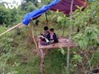 Học sinh vùng cao "hứng sóng" học online.