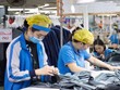 Nhiều doanh nghiệp may mặc đã được tiếp cận gói vay trả lương ngừng việc.