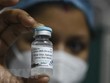 Vaccine Covaxin phòng COVID-19 tại bệnh viện ở Kolkata, Ấn Độ, ngày 3/2. (Ảnh: AFP/ TTXVN).