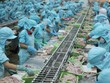 Ngành chế biến thủy sản vẫn có cơ hội lớn trong đại dịch.