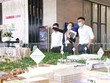 Từ khóa của Gamuda Land năm 2022 là bền bỉ, kiên cường, với kế hoạch dự phòng cho tất cả mọi điều, bao gồm cả nhân sự. Ảnh: Lê Toàn