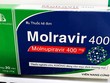 Molnupiravir được sử dụng để điều trị Covid-19 mức độ nhẹ đến trung bình ở người trưởng thành dương tính với xét nghiệm chẩn đoán SARS-CoV-2 và có ít nhất một yếu tố nguy cơ làm bệnh tiến triển nặng.