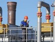 Trạm khí đốt Russkaya ở vùng Krasnodar, miền Nam Nga. (Ảnh: TASS/TTXVN).