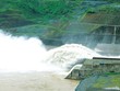 Thủy điện không chịu áp lực chi phí đầu vào như doanh nghiệp nhiệt điện.