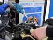 Mua bán xăng dầu tại cửa hàng kinh doanh xăng dầu Petrolimex trên đường Trần Quang Khải, Hà Nội. (Ảnh: Trần Việt/TTXVN)