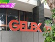 Gelex (GEX) đặt kế hoạch tăng trưởng kép 2 con số, tập trung vào sản xuất công nghiệp và hạ tầng