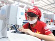Nhiều doanh nghiệp dệt may đã nhận đơn hàng hết quý III/2022.