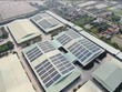 CME Solar và May Sông Hồng thúc đẩy phát triển năng lượng sạch