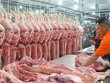 Sau xăng dầu thì việc giá thịt lợn đang tăng cao cũng gây ảnh hưởng đến lạm phát của Việt Nam.