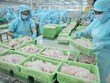 Cá tra Việt Nam có thị trường nhập khẩu chính là Trung Quốc, Mỹ và khối các nước trong Hiệp định CPTPP.