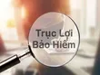 Xử lý hành vi trục lợi bảo hiểm cần một chế tài thống nhất, đủ mạnh