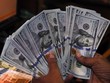Đồng USD. (Ảnh: AFP/TTXVN)