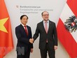 Bộ trưởng Ngoại giao Bùi Thanh Sơn và Bộ trưởng Ngoại giao Áo Alexander Schallenberg. (Ảnh: Mạnh Hùng/TTXVN)