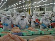 Chế biến thủy sản xuất khẩu ở Đồng bằng sông Cửu Long.