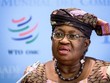 Tổng giám đốc WTO Ngozi Okonjo-Iweala. (Ảnh: AFP/TTXVN)