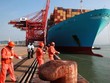 Thị trường vận tải container: "Bốc hơi" quá nhanh, liệu có sụp đổ?