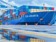 Tàu container CUL Jakarta vận hành bởi CU Lines, một hãng vận tải container ngoài hiệp hội Nguồn: splash247.com.