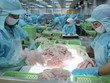 Lợi nhuận ngành thủy sản có thể suy giảm trong nửa đầu năm 2023.