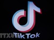Biểu tượng mạng xã hội TikTok. (Ảnh: AFP/TTXVN)