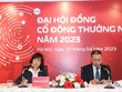 ĐHCĐ Viettel Global (VGI): Hướng tới doanh thu tối thiểu 33.000 tỷ đồng vào năm 2028