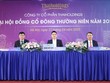 ĐHĐCĐ Thaiholdings (THD): Doanh thu thuần hợp nhất đạt 3.272 tỷ đồng, cơ cấu lại nhân sự Hội đồng quản trị