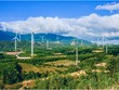 Dự án điện gió của GELEX ở Quảng Trị.