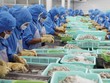 Mở rộng thị trường xuất khẩu đang là hướng đi của các doanh nghiệp chế biến thủy sản