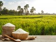 Việt Nam đang tập trung sản xuất gạo chất lượng cao để phù hợp với xu hướng tiêu dùng toàn cầu