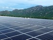 Bình Thuận: Sở Công thương kết luận 4 doanh nghiệp đầu tư điện mặt trời mái nhà không có tồn tại, hạn chế
