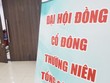 Cổ đông nhỏ là thành phần quan trọng trong giám sát và đảm bảo quản trị hiệu quả cho công ty.