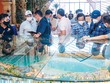 Lãi vay cho cả chủ đầu tư và người mua nhà sẽ giảm dần.