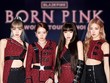 Black Pink biểu diễn tại Hà Nội: Thúc đẩy phát triển công nghiệp văn hóa, quảng bá du lịch