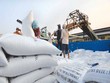Giá gạo xuất khẩu của Việt Nam tăng vọt sau lệnh cấm xuất khẩu gạo của Ấn Độ.
