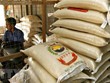Một cửa hàng bán gạo tại Pekan Mundok, Thái Lan. (Ảnh: AFP/TTXVN)