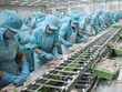 Các doanh nghiệp thủy sản đang chuẩn bị cho mùa tiêu dùng cuối năm.