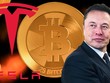 Trước đà tăng như "vũ bão" của thị trường, có vẻ như tỷ phú Elon Musk đã âm thầm gom thêm hàng nghìn Bitcoin