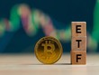 Màn "rung lắc" tiêu tốn hơn 800 triệu USD của Bitcoin và nguyên nhân cụ thể thúc đẩy thị trường trong thời gian qua