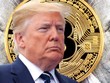 Giá Bitcoin bất ngờ "vút tăng" sau vụ ám sát hụt cựu Tổng thống Trump
