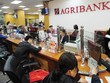 Agribank là NHTM dẫn đầu về quy mô mạng lưới với 2.300 chi nhánh