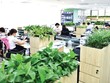 Thị trường văn phòng đang “tiến hóa”
