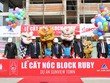 Đất Xanh cất nóc Block Ruby Dự án Sunview Town