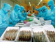 Hơn 90% thủy sản nhập khẩu nhằm mục đích chế biến xuất khẩu