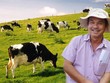 Hoàng Anh Gia Lai muốn chuyển từ trồng cỏ nuôi bò sang trông cây ăn quả