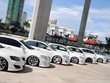 Xe Thái Lan nhập khẩu về Việt Nam đang độc chiếm thị trường.