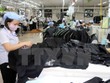 Sản xuất hàng may mặc xuất khẩu. (Ảnh: Trần Lê Lâm/TTXVN)