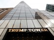Ông Trump từng hứa sẽ rời khỏi vị trí điều hành doanh nghiệp nếu đắc cử tổng thống.
Không có dấu hiệu gì chứng tỏ tổng thống mới đắc cử sẽ thay đổi các quyết định mà mình đã tuyên bố trước đó. Vào cuối tháng 10, nhà báo nội chính lão luyện George Stephanopoulos của ABC News đã hỏi Donald Jr., Ivanka và Eric sẽ gắn bó với sự nghiệp kinh doanh của gia đình ra sao nếu cha của họ trở thành tổng tống. “Đó là những gì chúng tôi làm. Chúng tôi là những người đang xây dựng sự nghiệp này”, Donald Jr