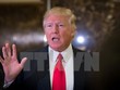 Tổng thống đắc cử Mỹ Donald Trump phát biểu với báo giới tại New York ngày 13/1. (Nguồn: AFP/TTXVN)