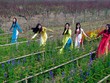 6 làng hoa Tết ba miền khoe sắc thu hút du khách